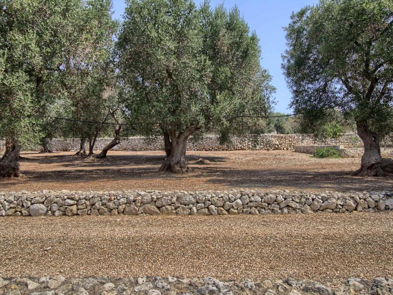 Stone House Li Turchi 2 Villa Santa Maria di Leuca Dış mekan fotoğraf